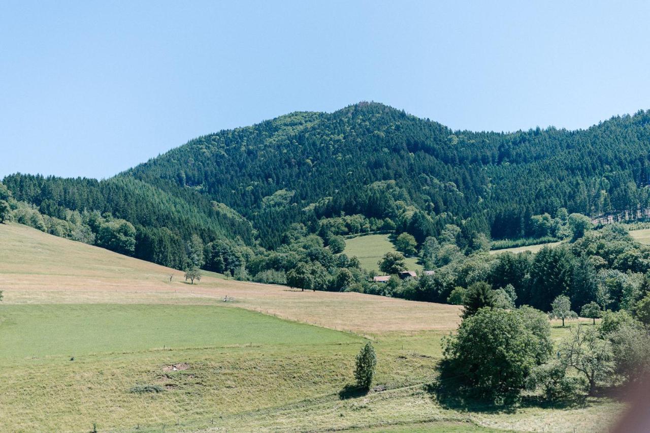 Moderne 2 Zi.Fewo Blackforest Art Naehe Freiburg Зимонсвальд Экстерьер фото
